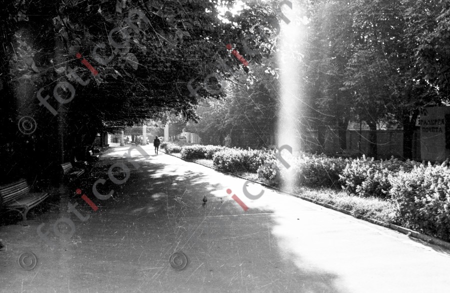 Sonnenstrahl im Park | Sunbeam in the park - Foto Harder-006_0460Bild002.jpg | foticon.de - Bilddatenbank für Motive aus Geschichte und Kultur